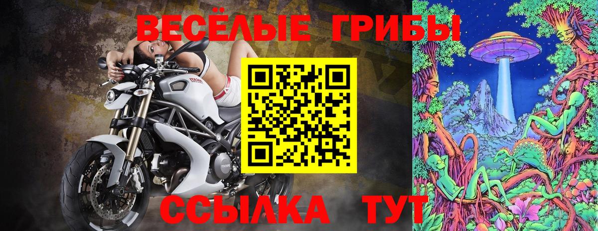 Псилоцибиновые грибы прущие грибы Чистополь