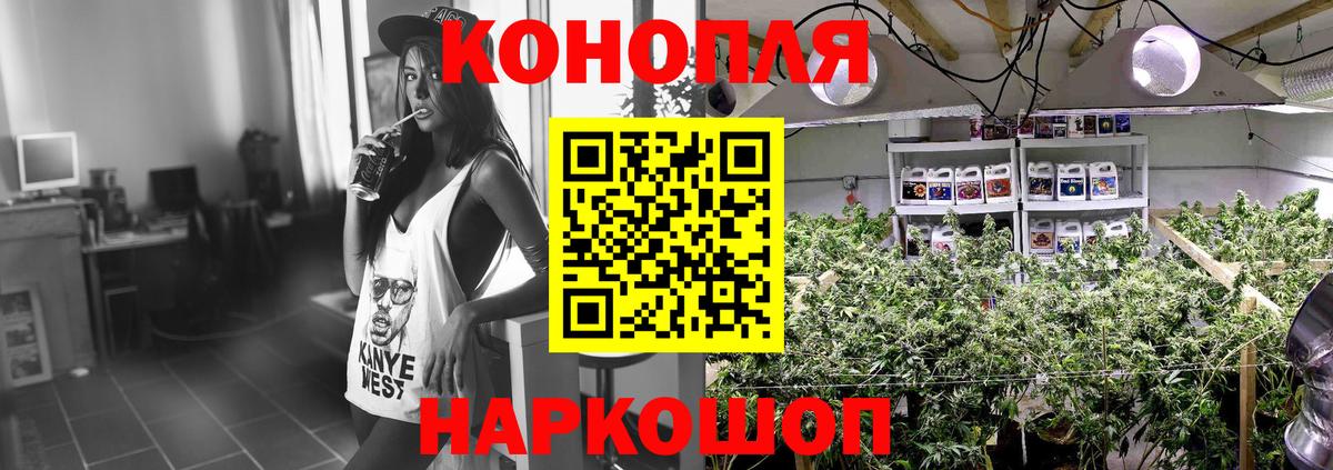 Чистополь  Каннабис план  Вход с VPN  Конопля семена 